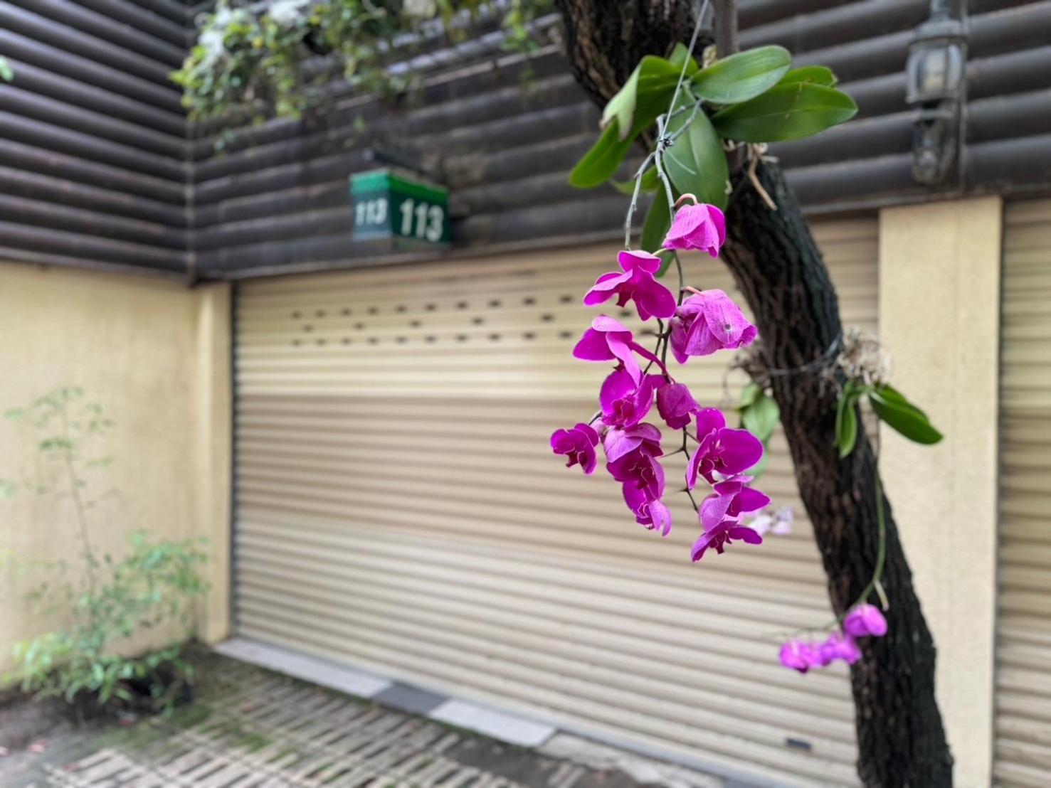 Ivy Motel Città di Chiayi Esterno foto