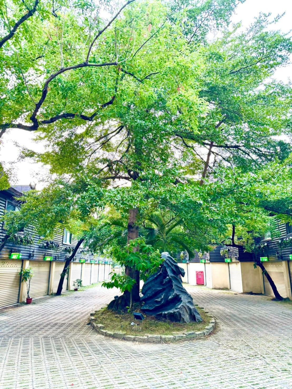 Ivy Motel Città di Chiayi Esterno foto
